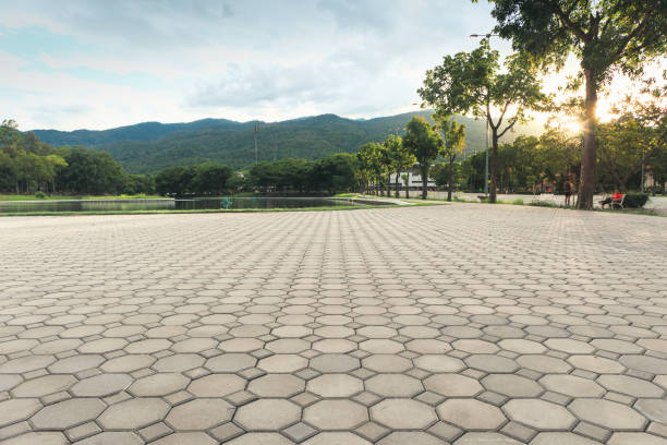Best Decorative Driveway Pavers  in Greenwood, SC